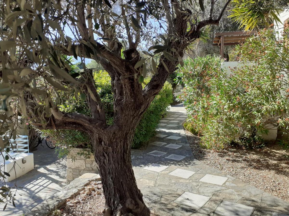 Villa Vigla-Βίγλα 1 2 Ormos  Esterno foto