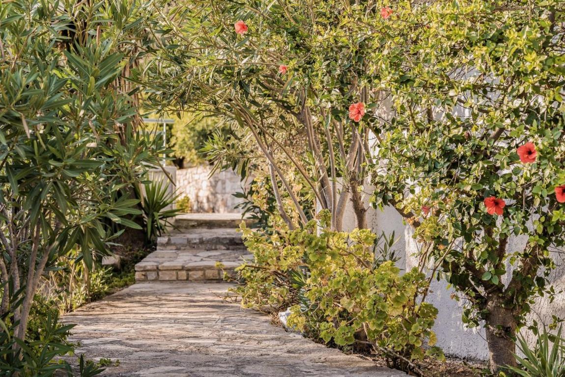 Villa Vigla-Βίγλα 1 2 Ormos  Esterno foto