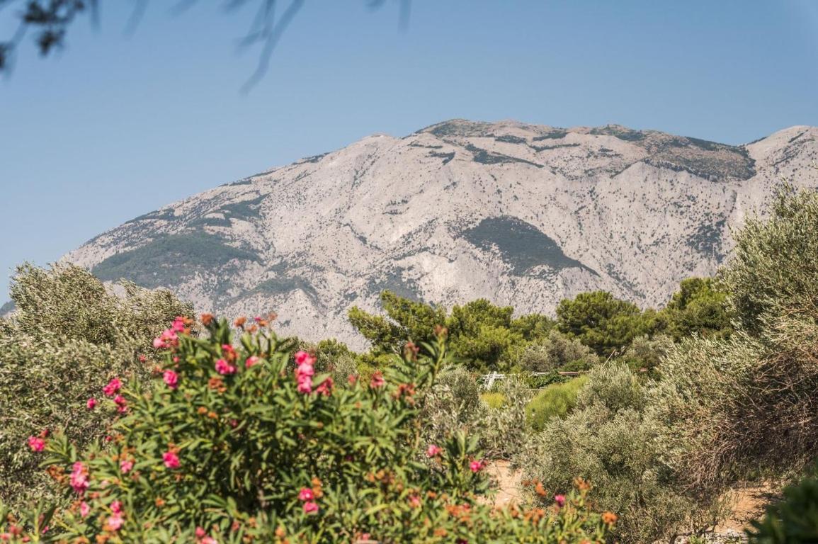 Villa Vigla-Βίγλα 1 2 Ormos  Esterno foto