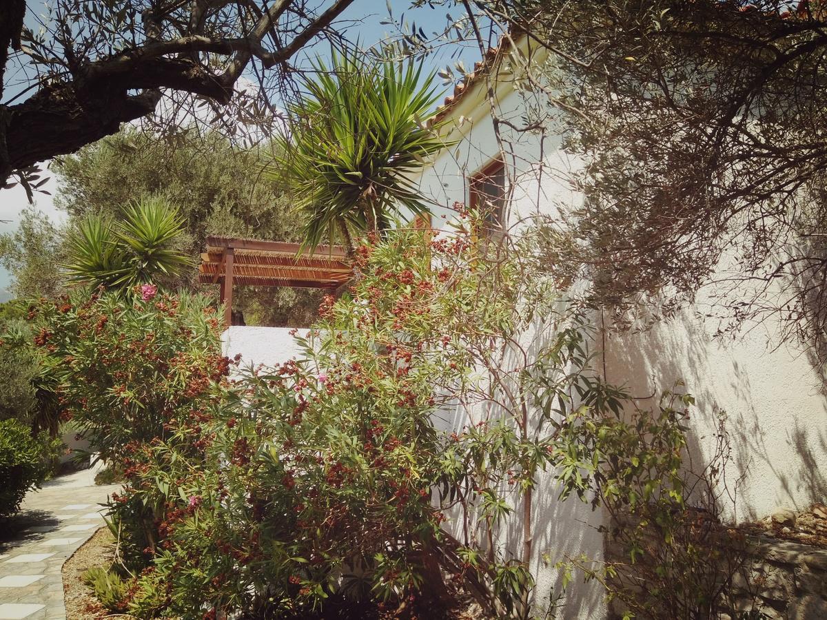 Villa Vigla-Βίγλα 1 2 Ormos  Esterno foto