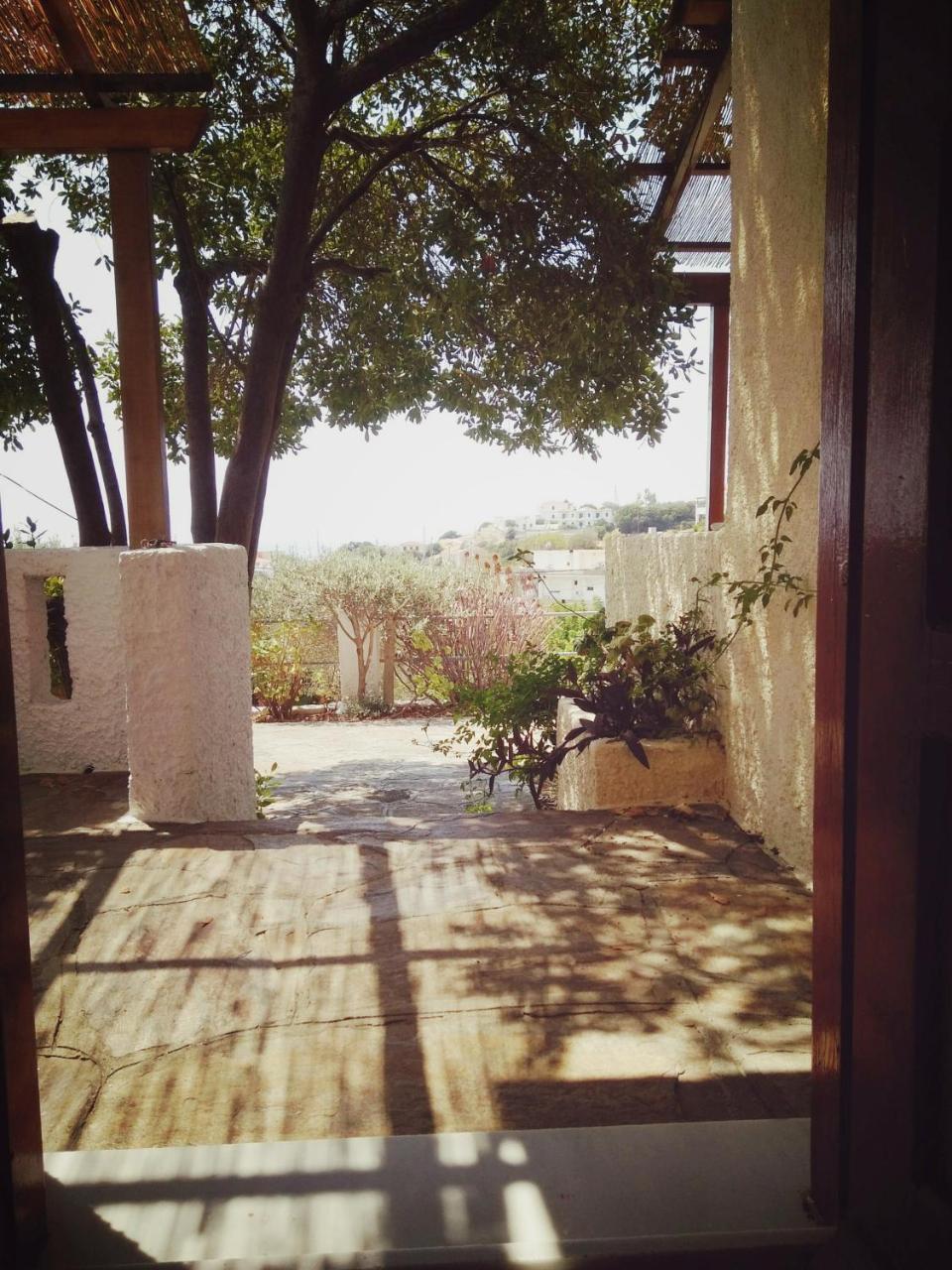 Villa Vigla-Βίγλα 1 2 Ormos  Esterno foto