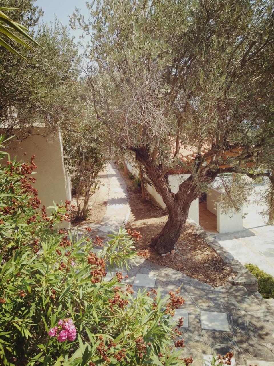 Villa Vigla-Βίγλα 1 2 Ormos  Esterno foto