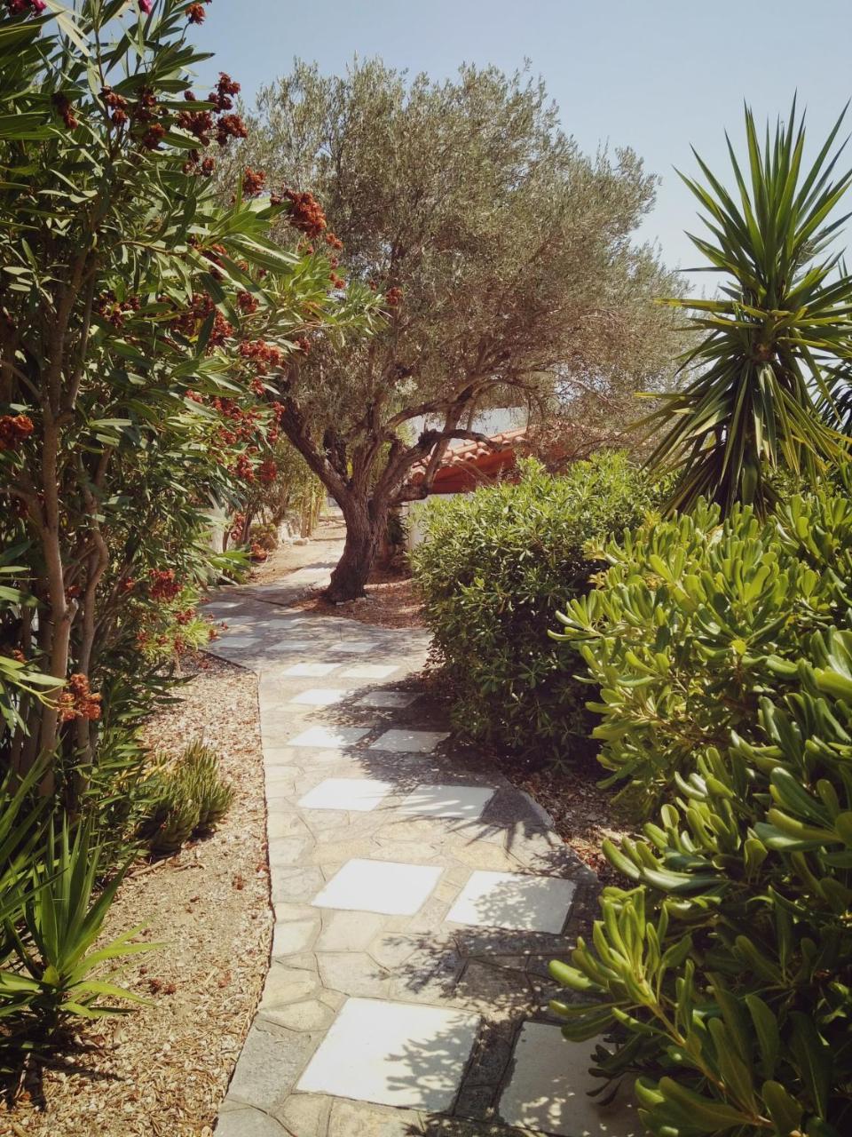 Villa Vigla-Βίγλα 1 2 Ormos  Esterno foto